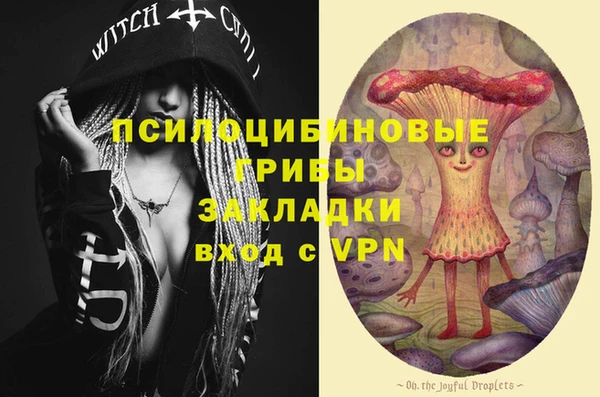 винт Баксан