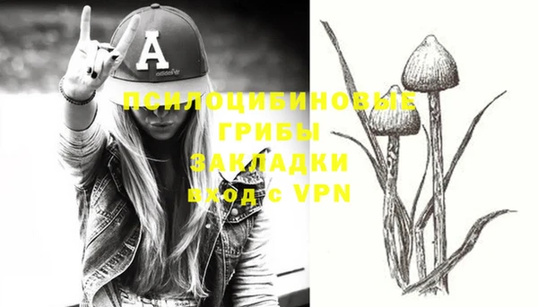 PSILOCYBIN Белоозёрский