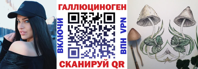 закладки  Кунгур  Псилоцибиновые грибы мицелий 