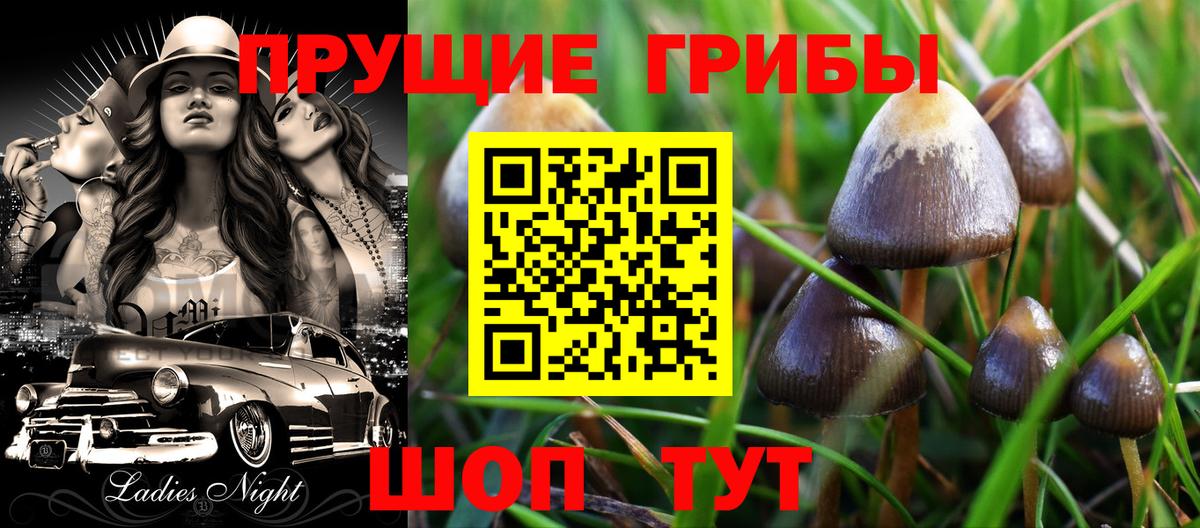 Псилоцибиновые грибы мицелий  Вход с VPN  Кунгур 